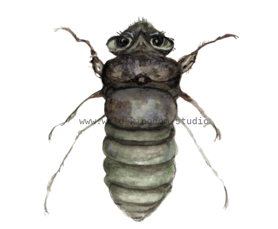 bug#0036 - card