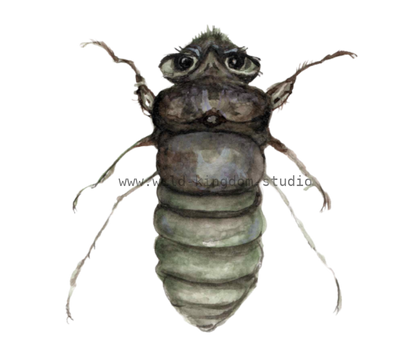 bug#0036 - card