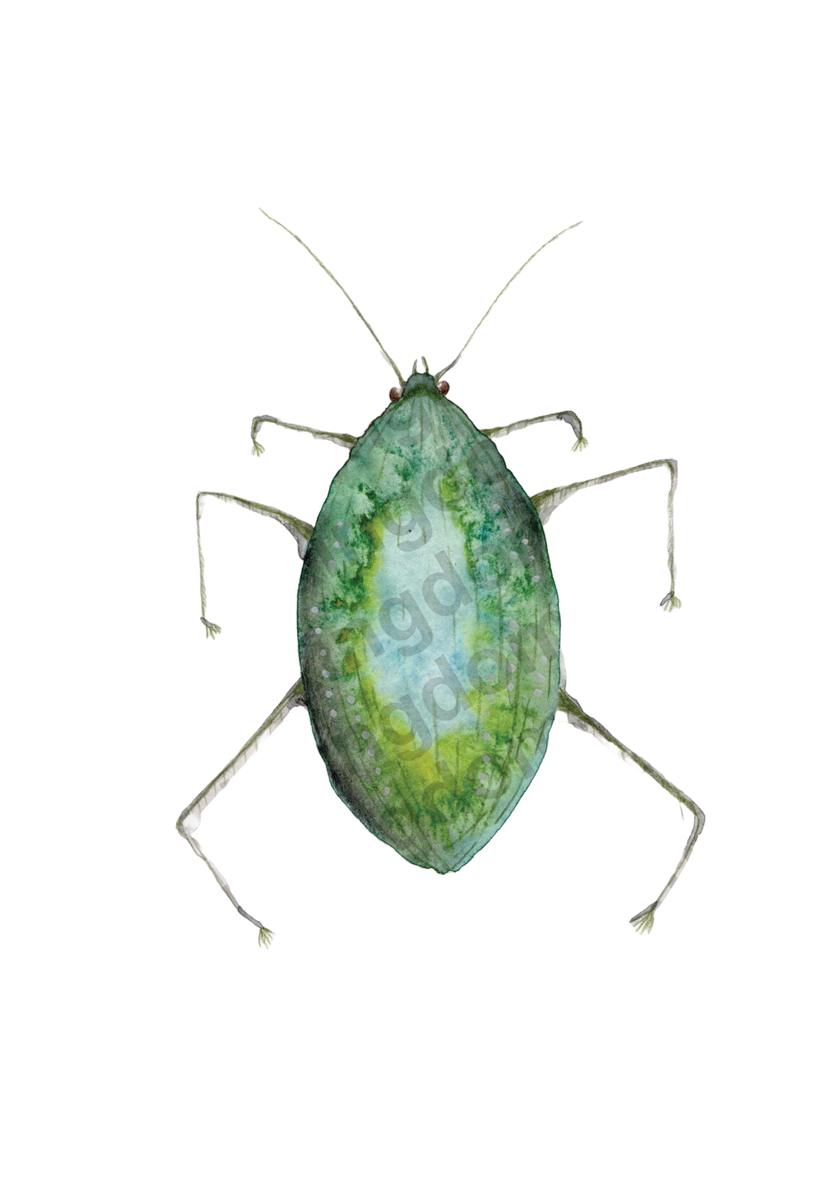 bug#0039 - card