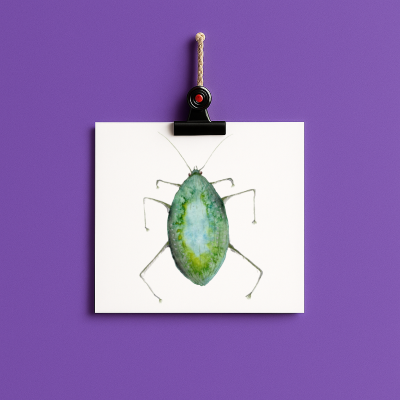 bug#0039 - card