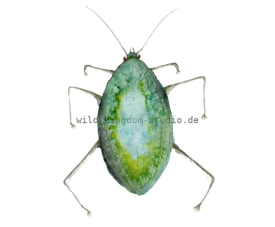 bug#0039 - card