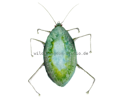 bug#0039 - card