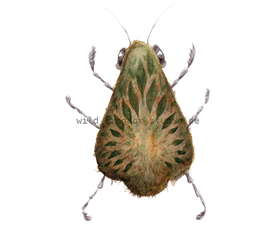 BeLeafer