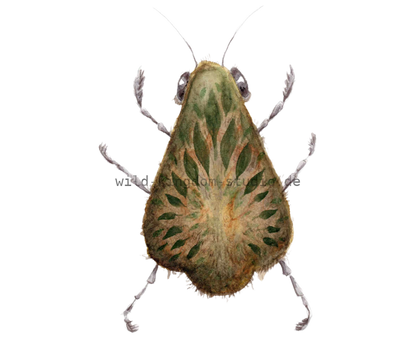 BeLeafer