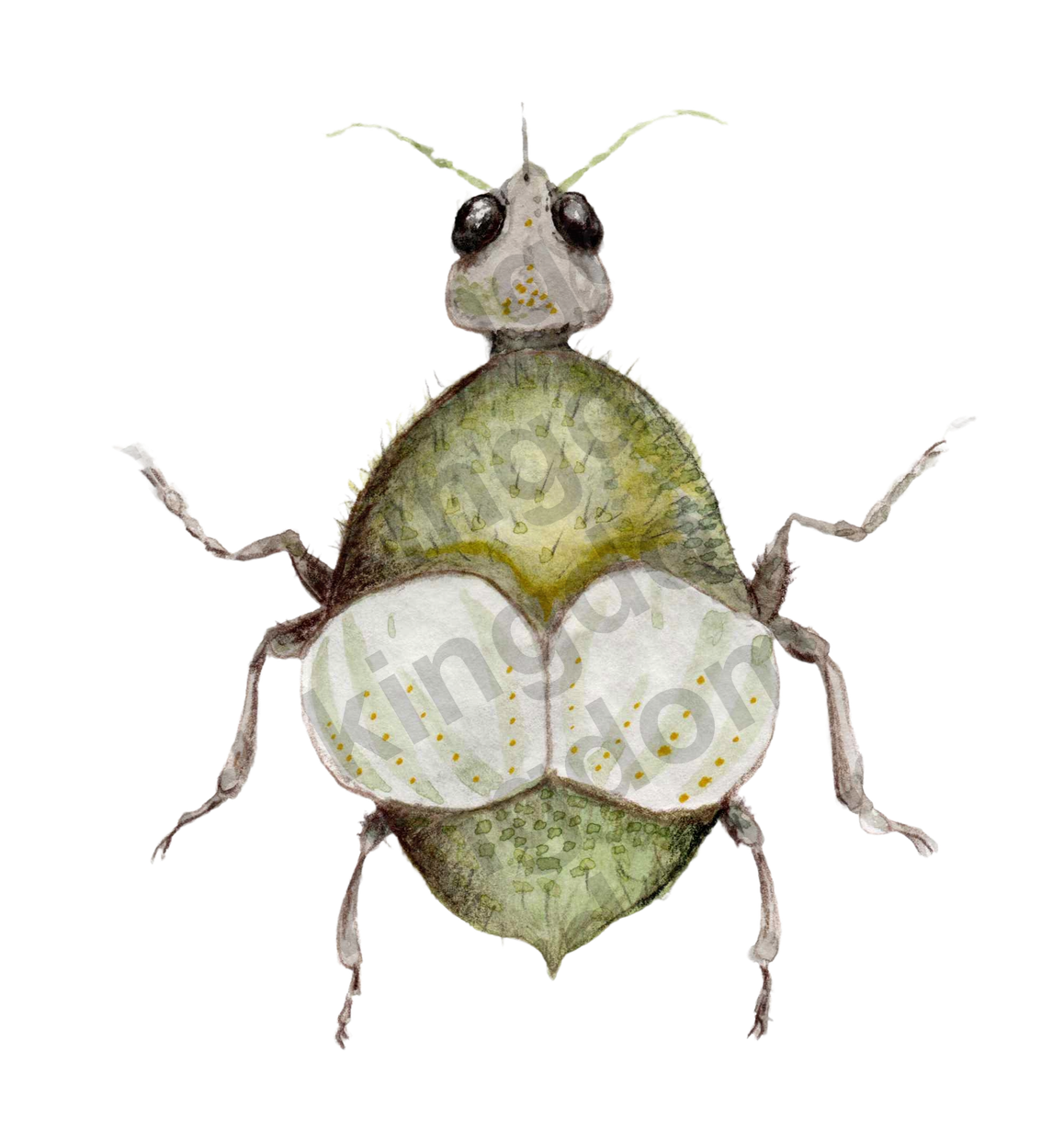 bug#0041 - card