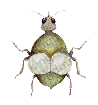 bug#0041 - card