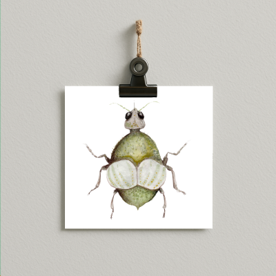 bug#0041 - card