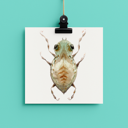 bug#0042 - card