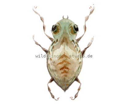 bug#0042 - card