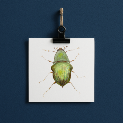 bug#0043 - card