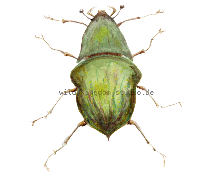 bug#0043 - card