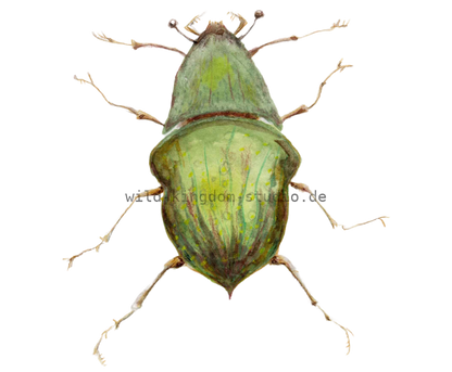 bug#0043 - card