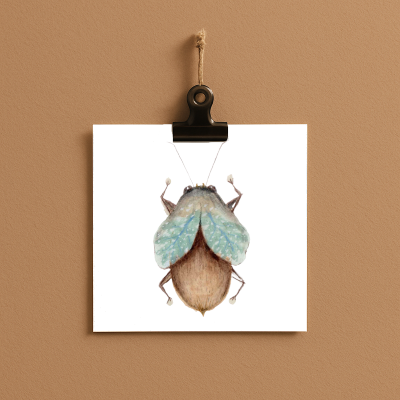 bug#0045 - card