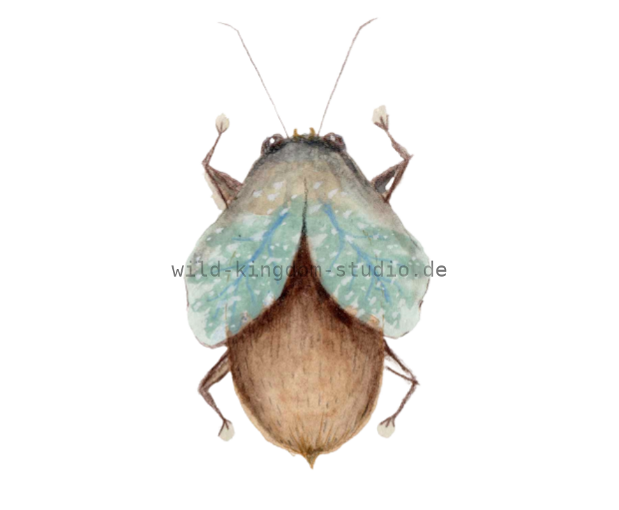 bug#0045 - card