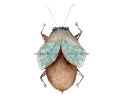 bug#0045 - card
