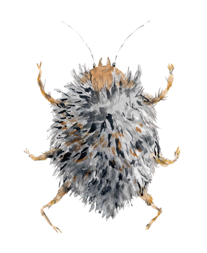 bug#0046 - card