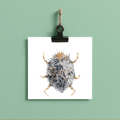 bug#0046 - card