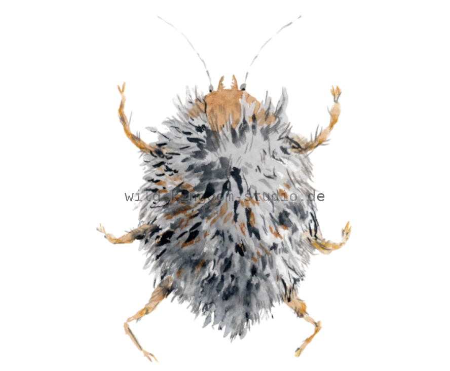 bug#0046 - card