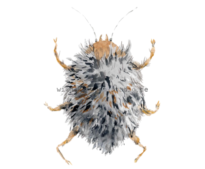 bug#0046 - card