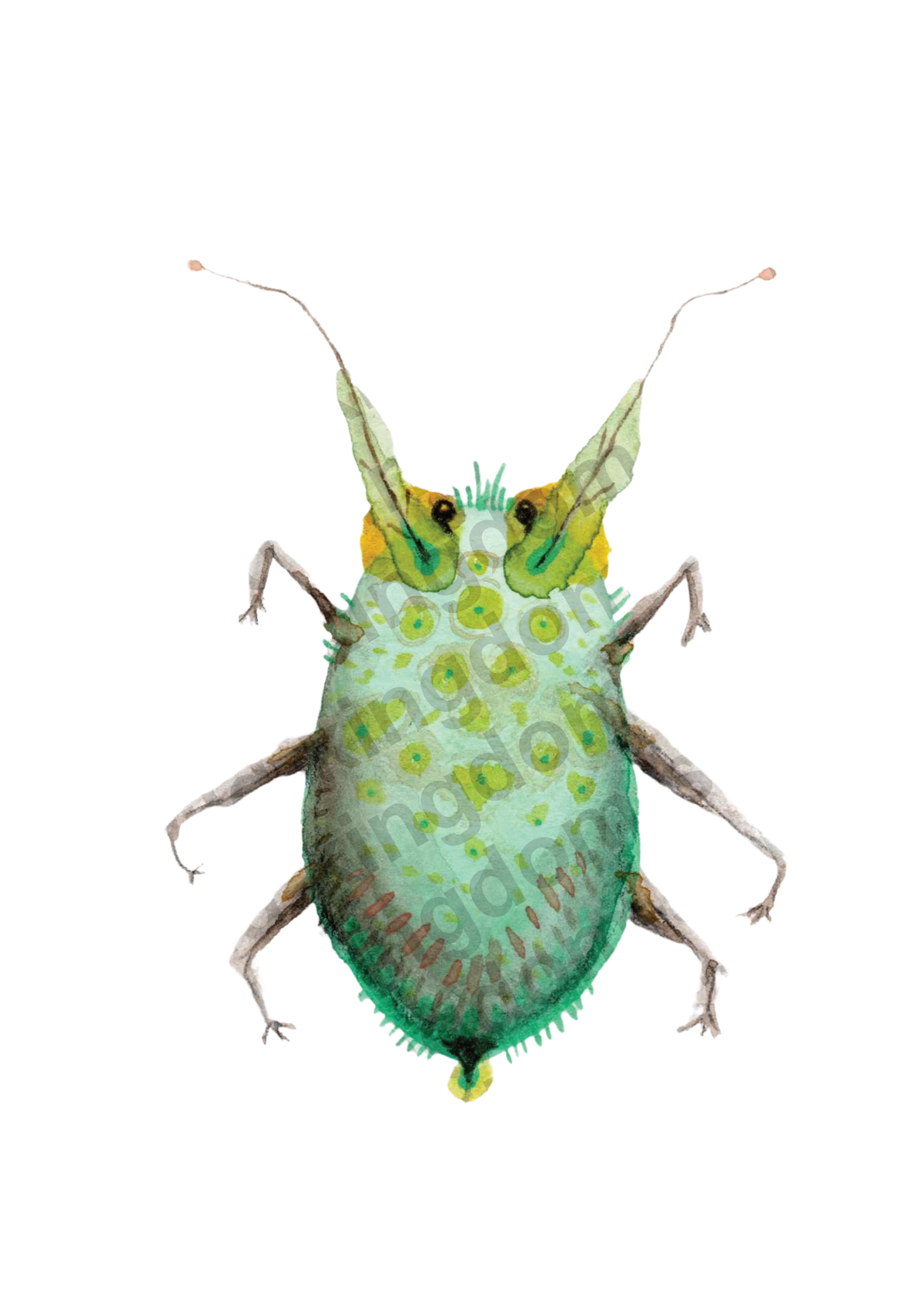 bug#0050 - card