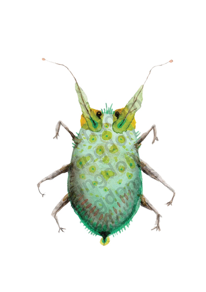 bug#0050 - card