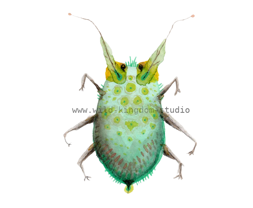 bug#0050 - card