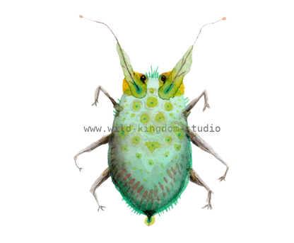 bug#0050 - card