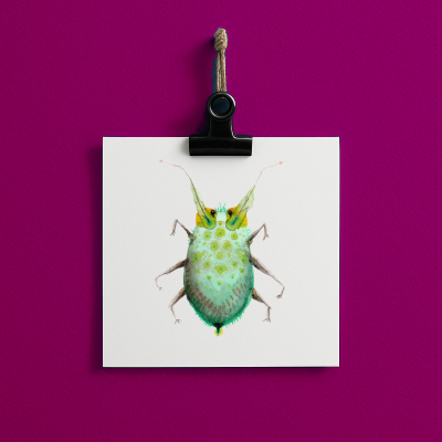 bug#0050 - card