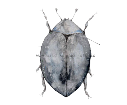 bug#0051 - card