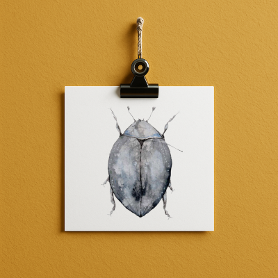 bug#0051 - card