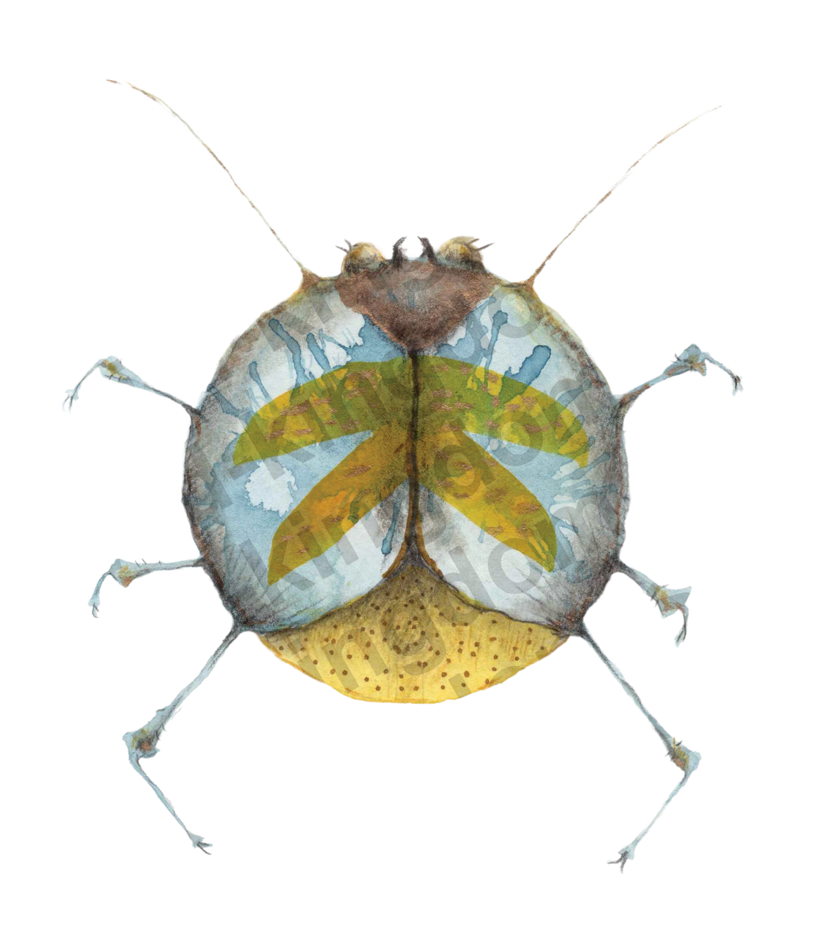 bug#0053 - card