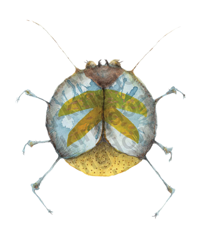 bug#0053 - card
