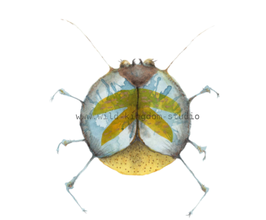 bug#0053 - card