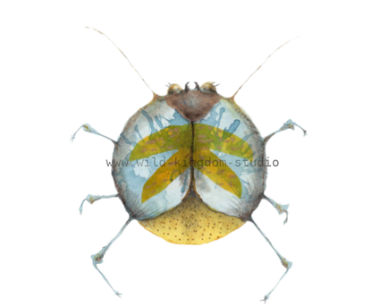 bug#0053 - card