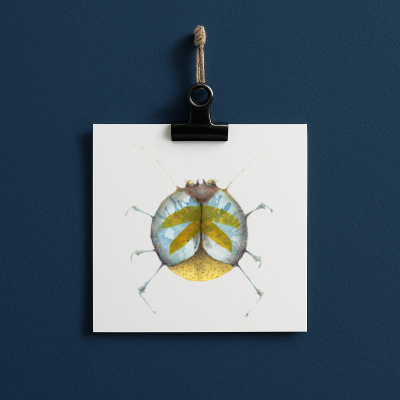 bug#0053 - card