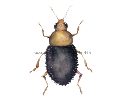 bug#0055 - card