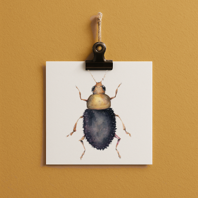 bug#0055 - card