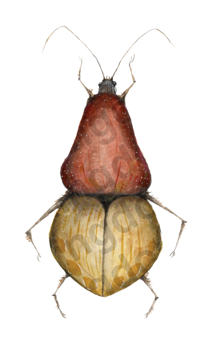 bug#0056 - card