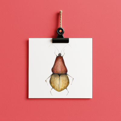 bug#0056 - card