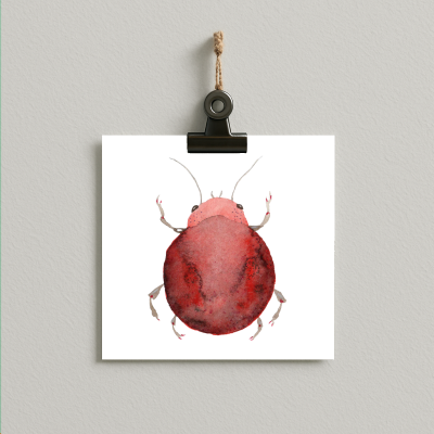 bug#0070 - card