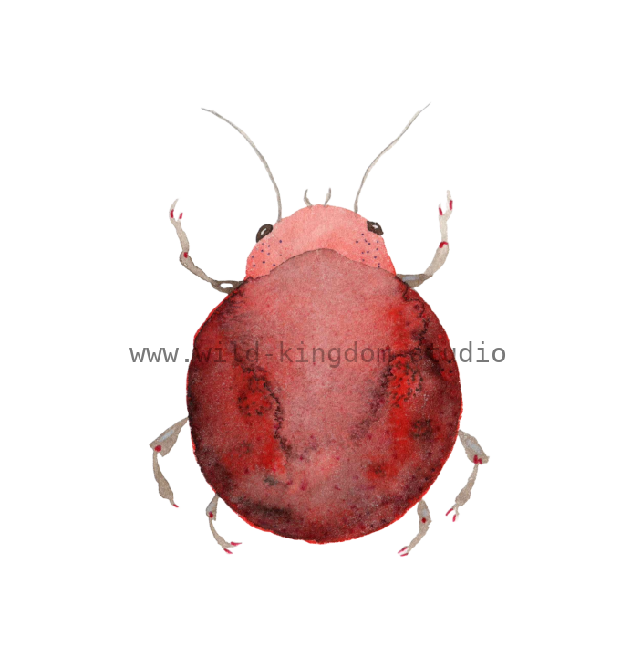bug#0070 - card