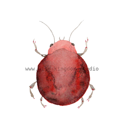 bug#0070 - card