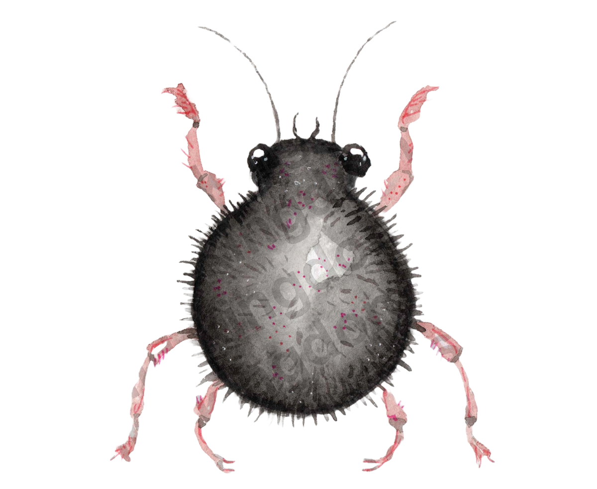 bug#0071 - card