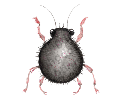 bug#0071 - card