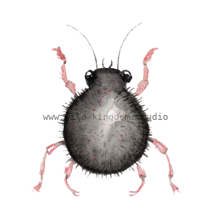 bug#0071 - card