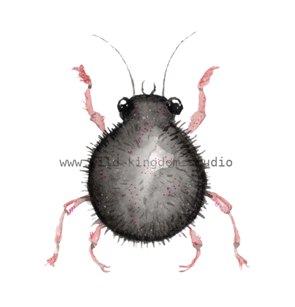 bug#0071 - card