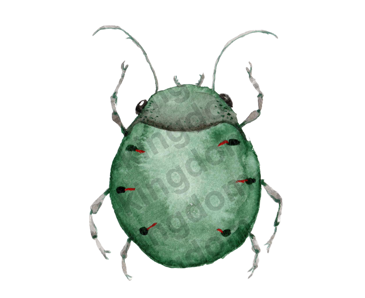 bug#0072 - card