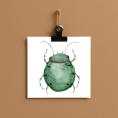 bug#0072 - card