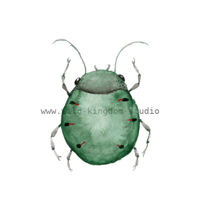 bug#0072 - card