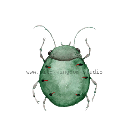 bug#0072 - card